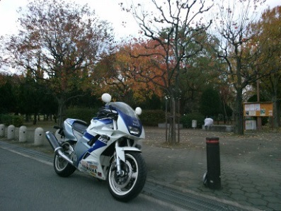 fzr001.jpg