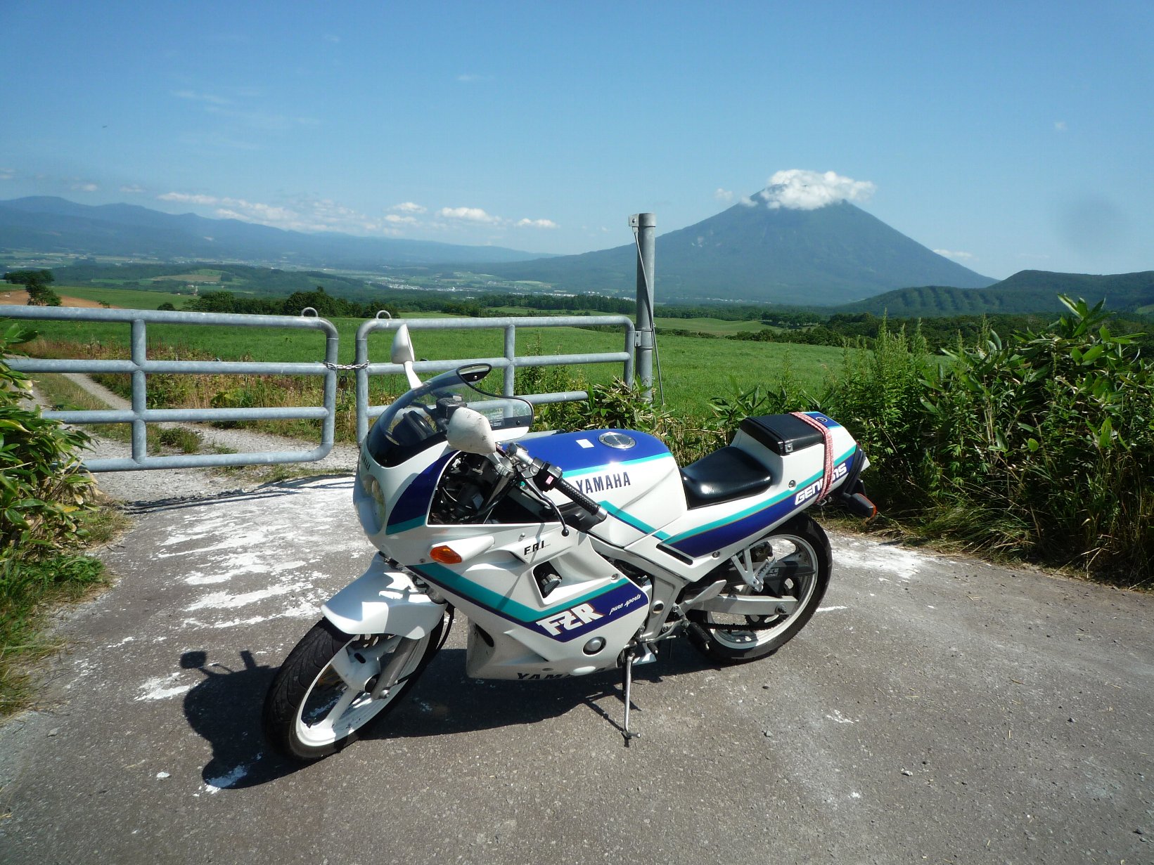 P1040799a.jpg