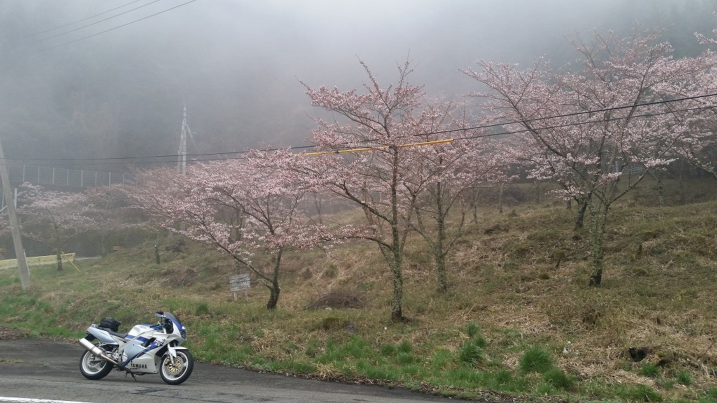 20170409_173728.jpg