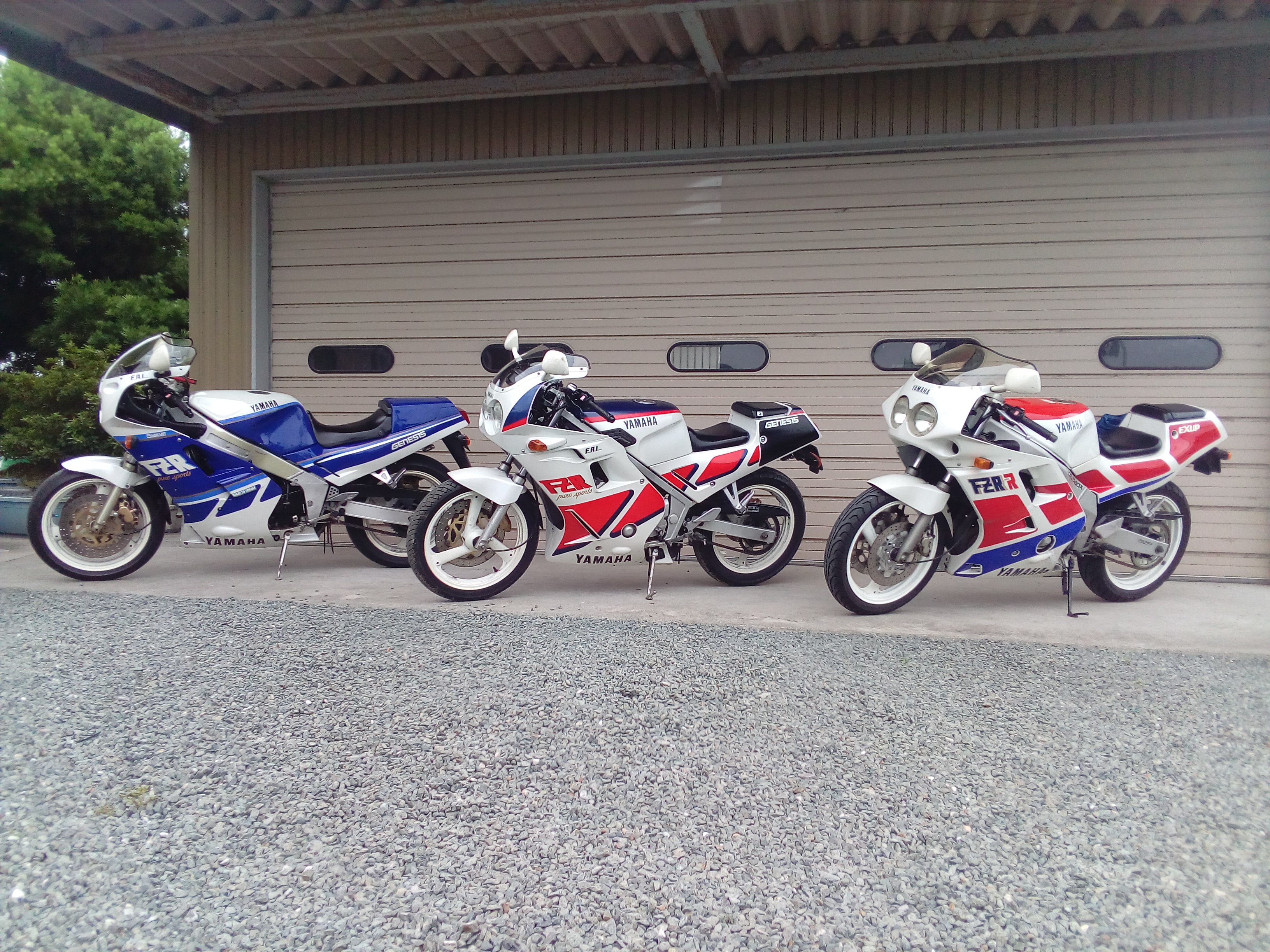 FZR 3兄弟 - コピー.jpg