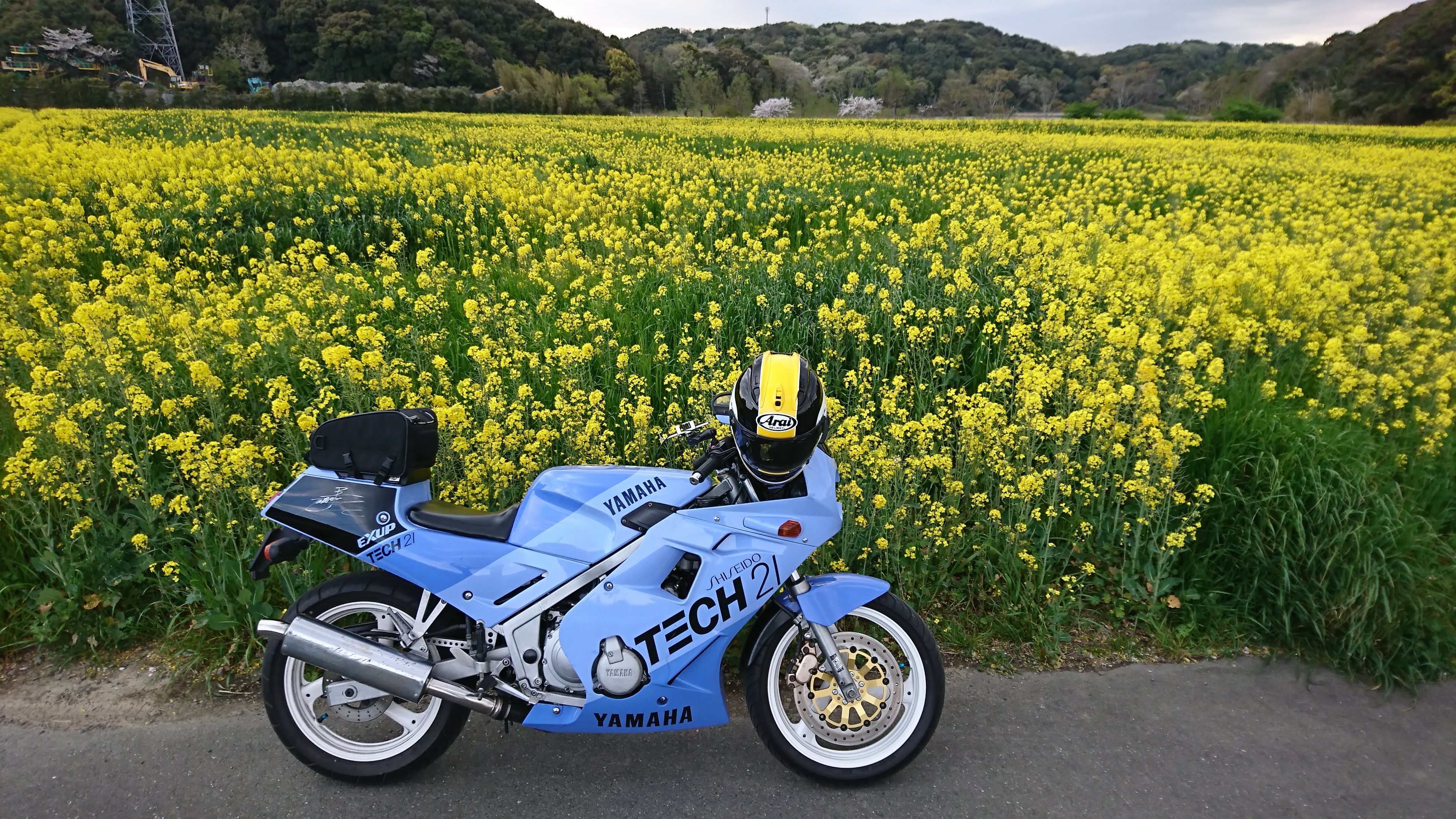 DSC_3109.JPG