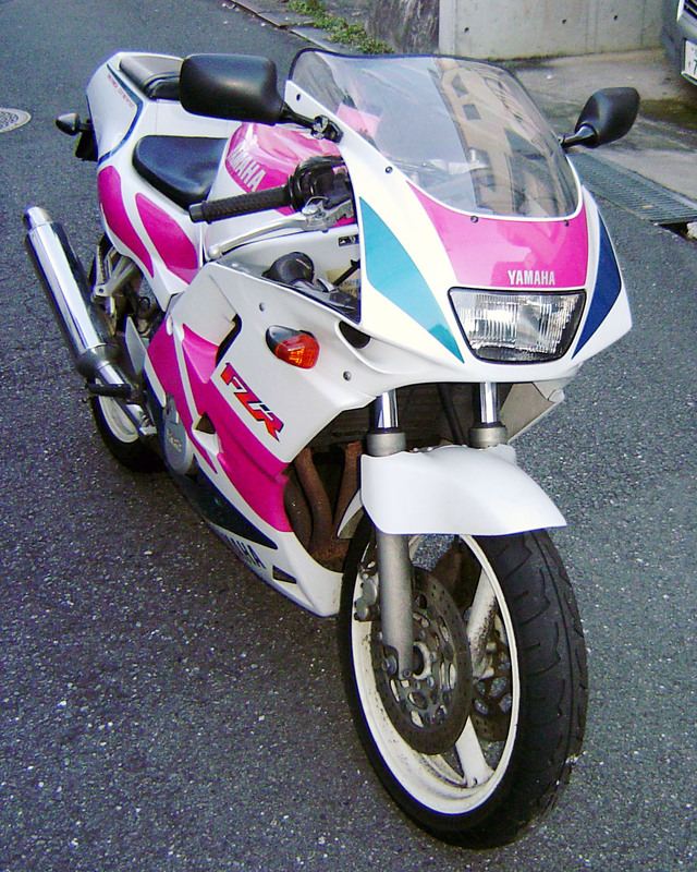 p1.jpg